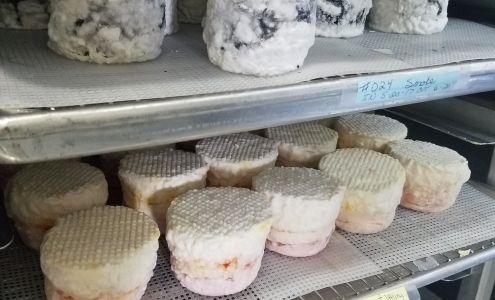 Skamokawa Farmstead Creamery Skamokawa