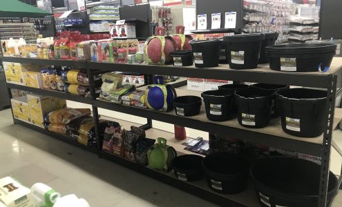 Stokes Market True Value Anaconda