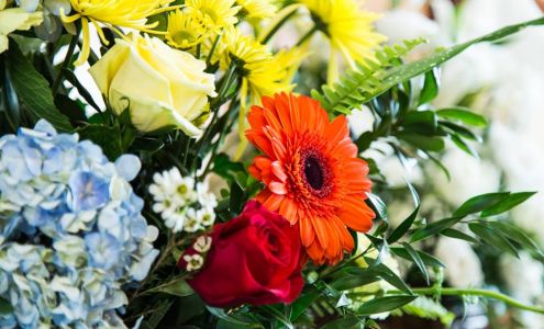 Sisterchicks Flowers & More