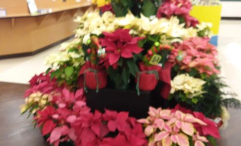 Kroger Floral Department