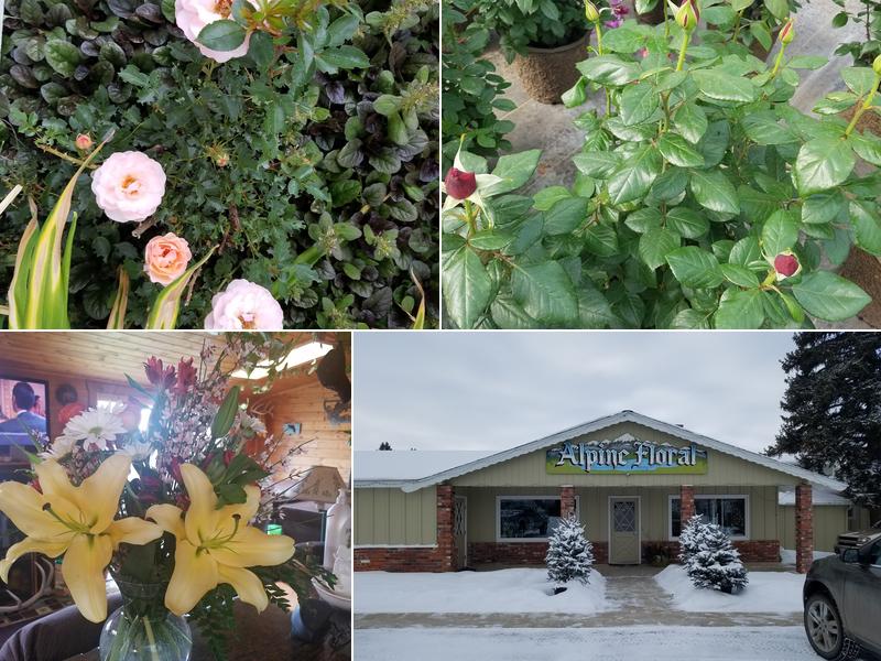 Alpine Floral Inc. GreenHouse & Nursery