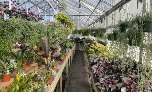 Riverside Greenhouses and Florist