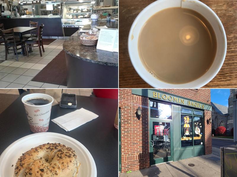Bloomin' Bagels
