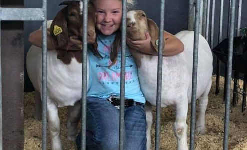 McGriffs of New Sharon New Sharon