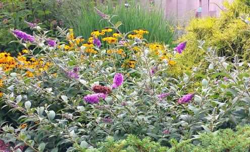 Greenwood Nursery