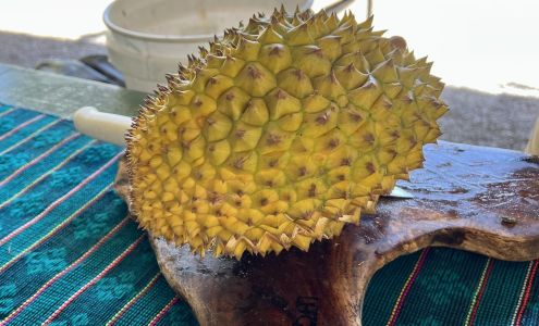 Ono Organic Farms Hana