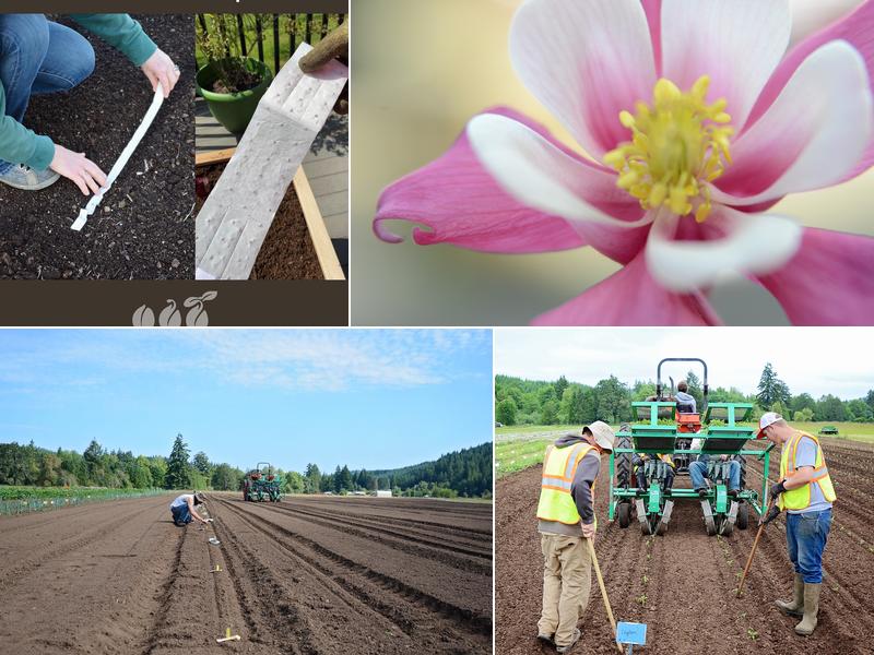 Territorial Seed Company Store