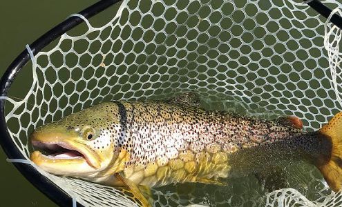 Bighorn Trout Shop & Lodge Fort Smith