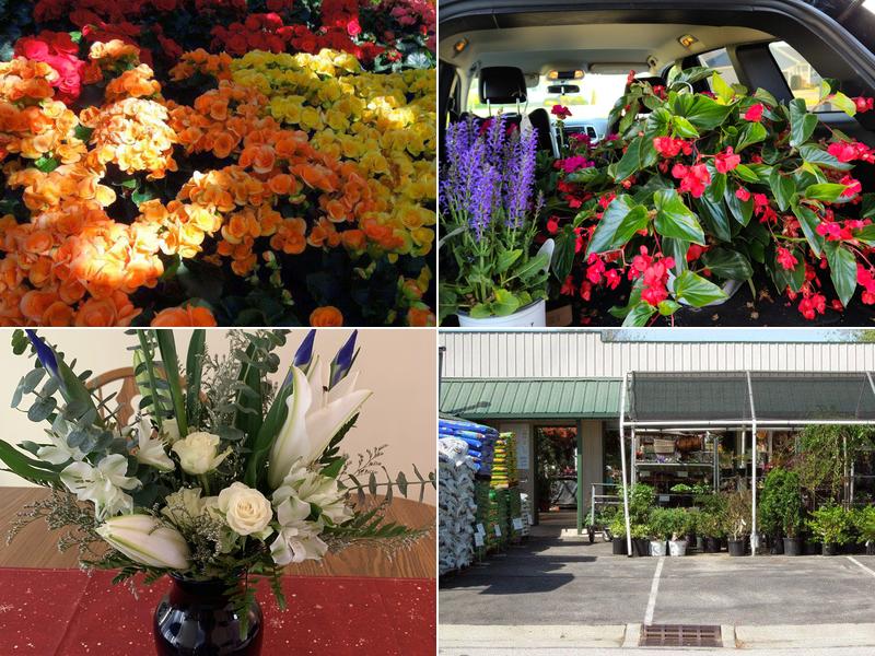 Wistinghausen Florist & Greenhouse