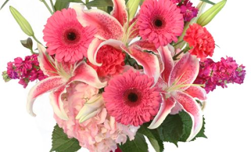 Benny's Flowers (Friendly Norton Floral Company) 4410 Bluegrass Rd, Norton Virginia 24273