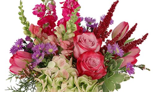 Classy Cactus Floral Baker