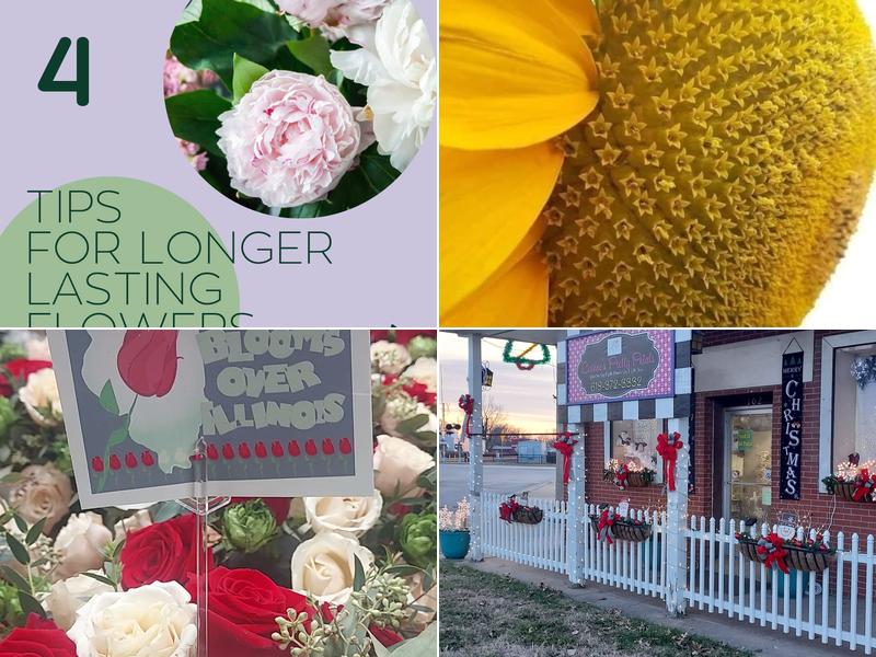 Leanne's Pretty Petals