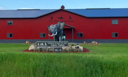 The Taxidermy Store Amherst