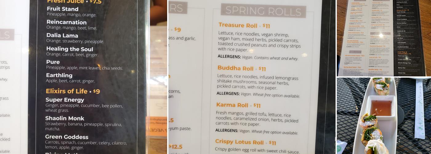 Andy Nguyen's Vegetarian Restaurant Menu