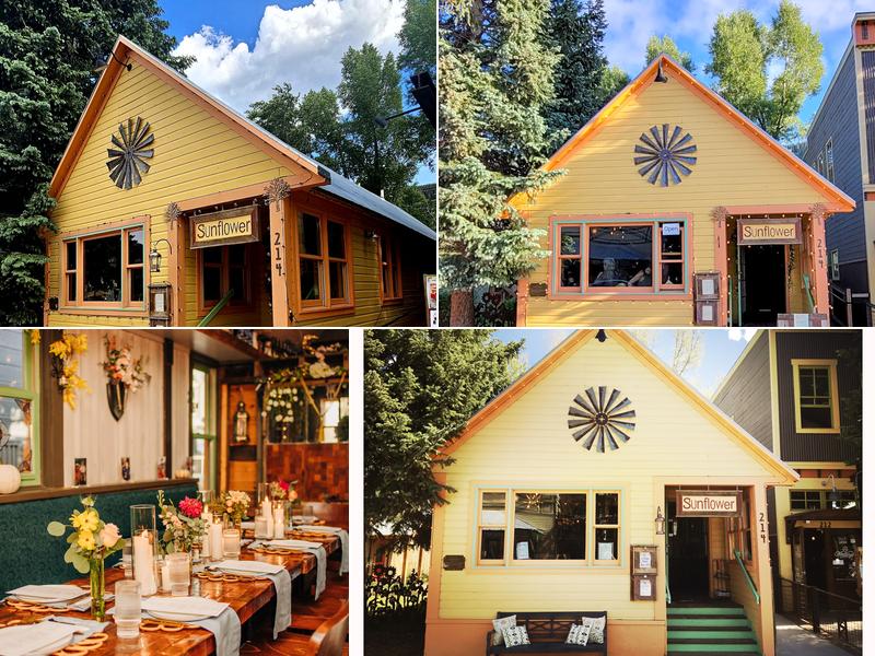 Sunflower 214 Elk Ave, Crested Butte