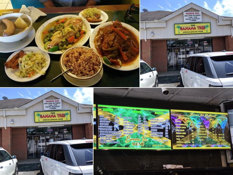 Banana Tree 4885 Redan Rd, Stone Mountain