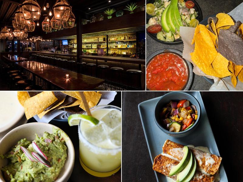 COA Agaveria Y Cocina 823A Lady St, Columbia