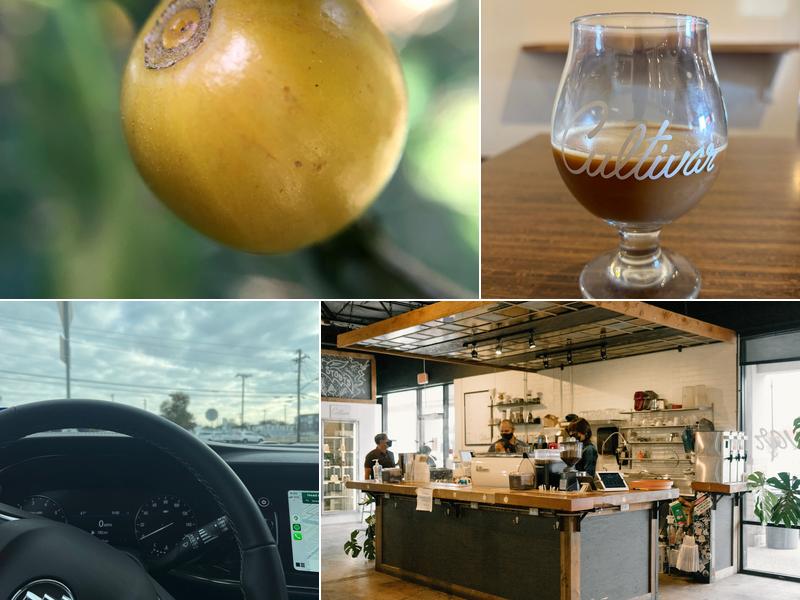 Cultivar Coffee Roasting Co.