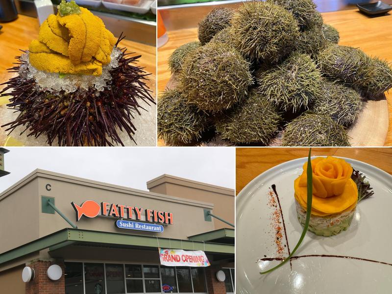 Fatty Fish Sushi Restaurant