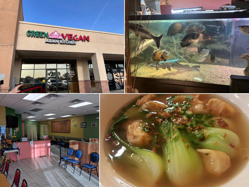 Green Lotus Vegan 835 N Gilbert Rd #106, Gilbert