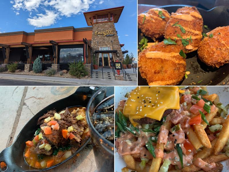 Lazy Dog Restaurant & Bar 24110 E State Ave, Aurora