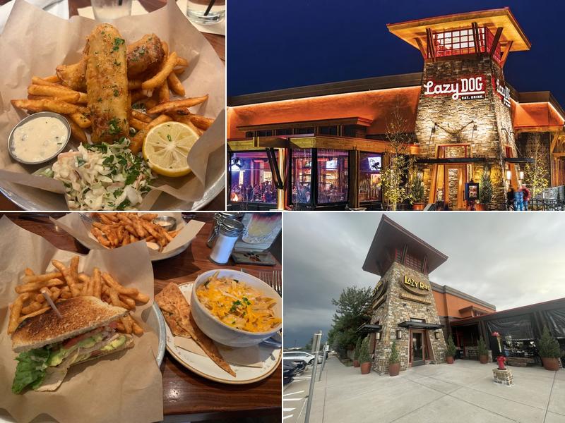 Lazy Dog Restaurant & Bar 8401 Preston Rd, Plano