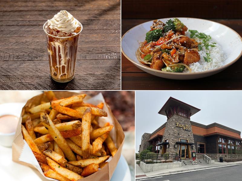 Lazy Dog Restaurant & Bar