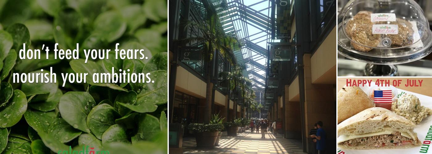 SaladFarm Sherman Oaks Galleria