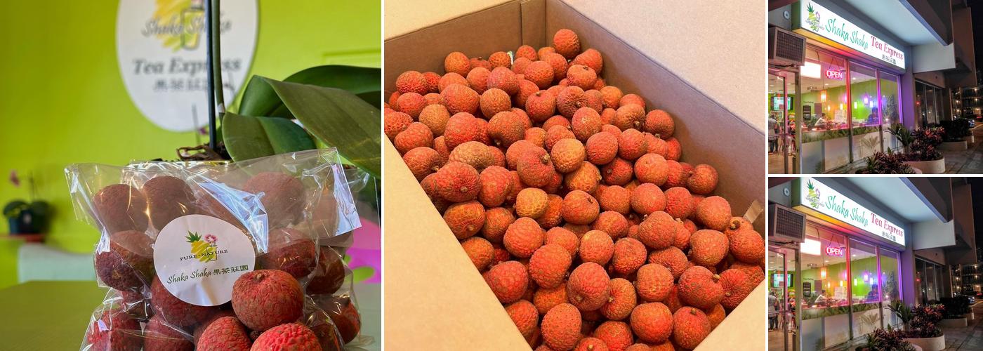 Shaka Shaka Tea Express