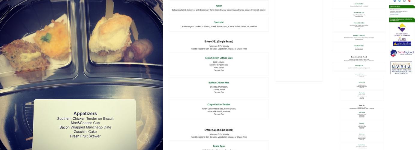 Silver Spoon Caterers Menu