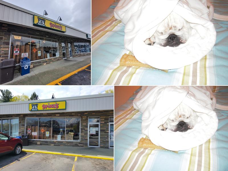 Spike's Junk Yard Dogs - Warwick