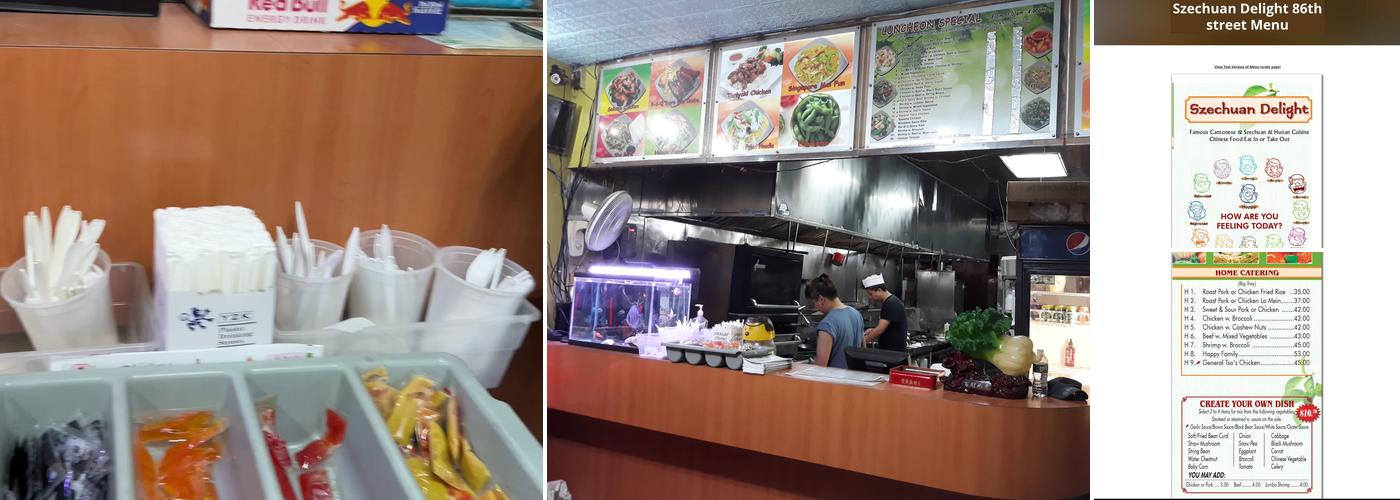 Szechuan Delight 川園 Chinese Food Menu