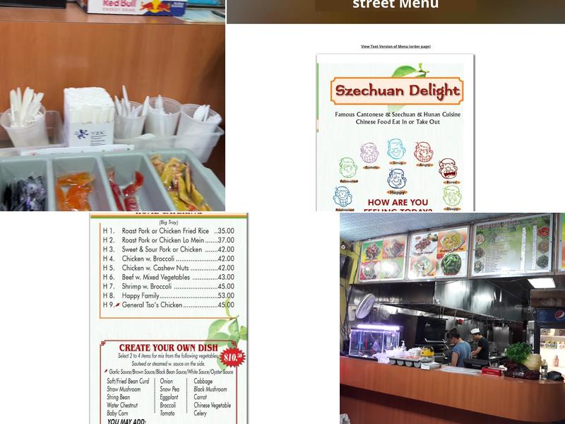 Szechuan Delight 川園 Chinese Food Menu