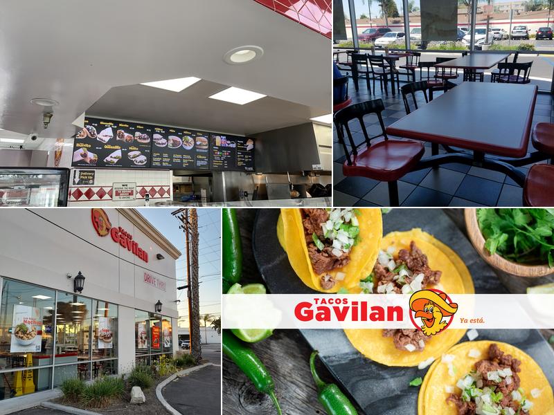 Tacos Gavilan