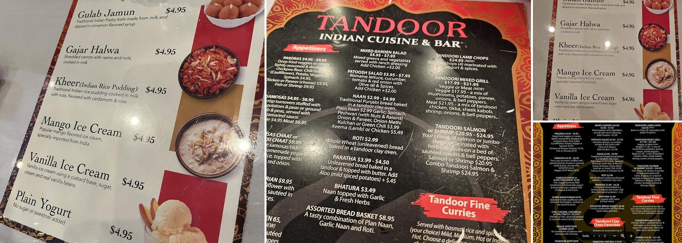 Tandoor Fine Indian Cuisine Menu
