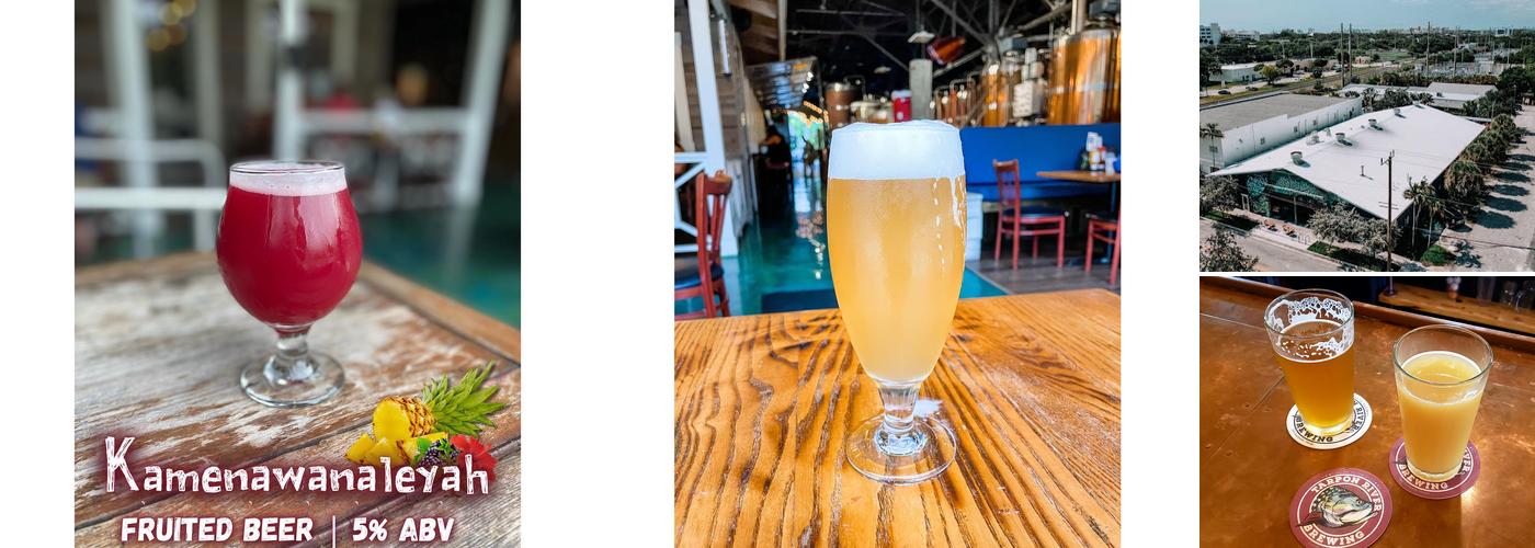 Tarpon River Brewing