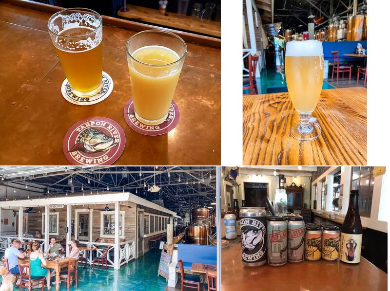Tarpon River Brewing