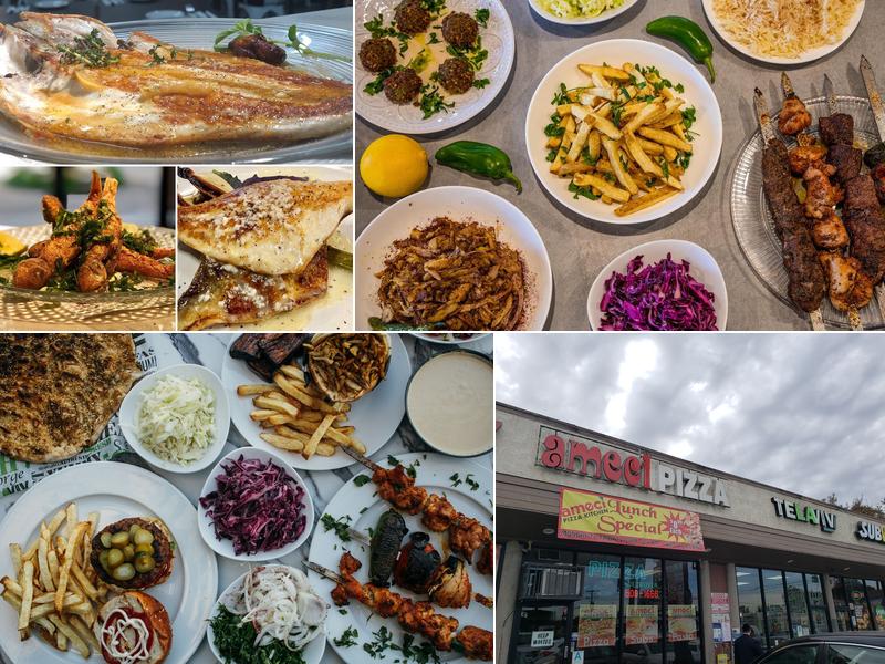 Tel Aviv Grill- Valley Village