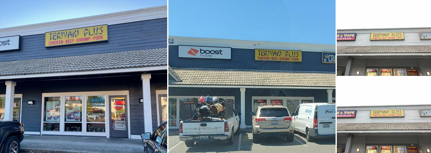 Teriyaki Plus