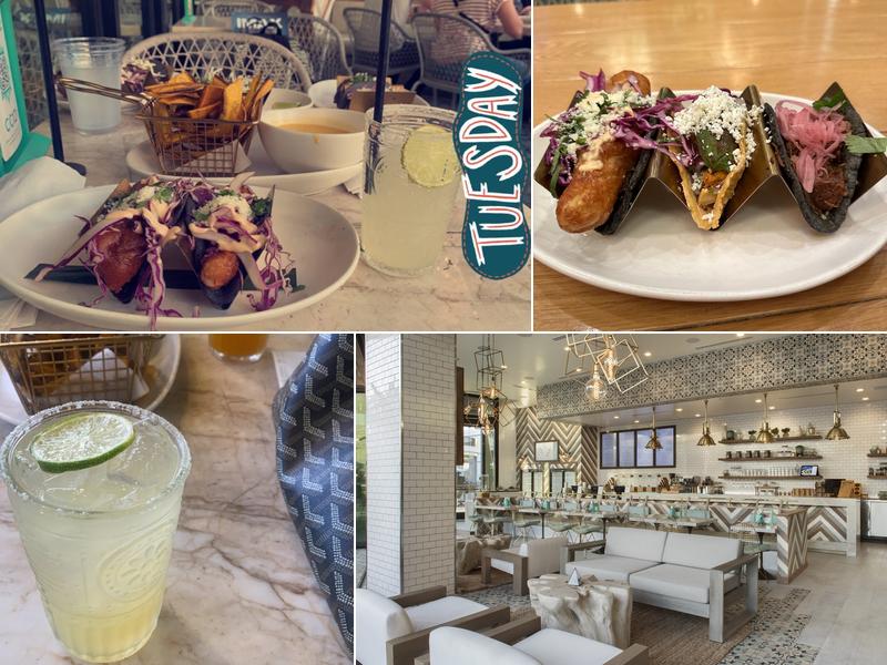 Tocaya Modern Mexican