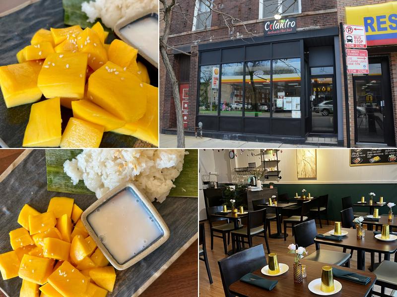 Cilantro Authentic Thai Food