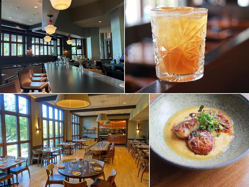 King Tide Fish and Shell