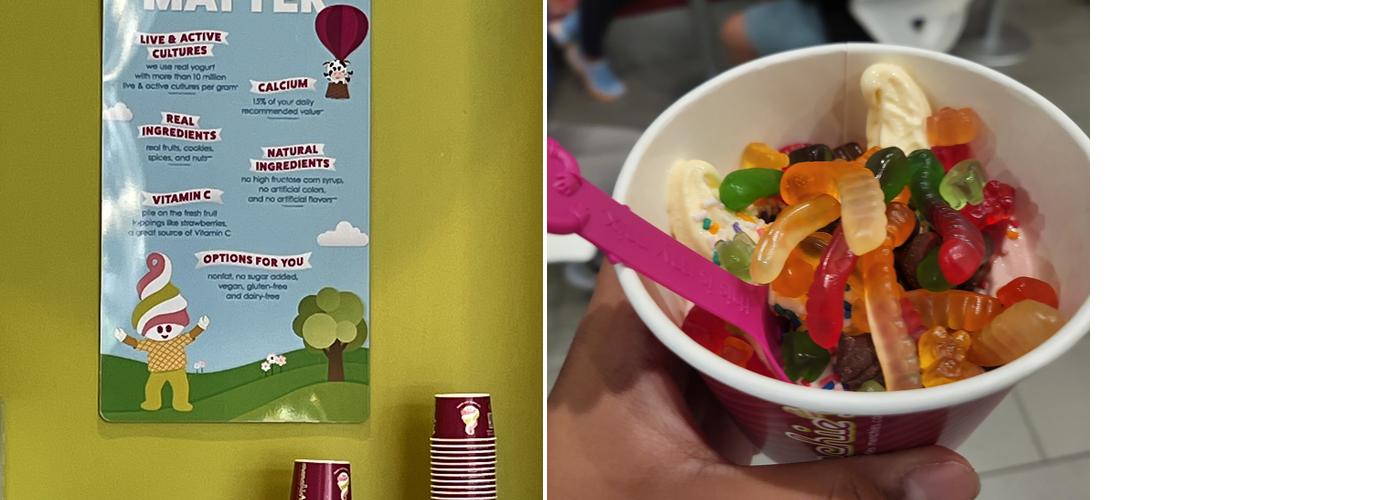 Menchie's Frozen Yogurt Menu