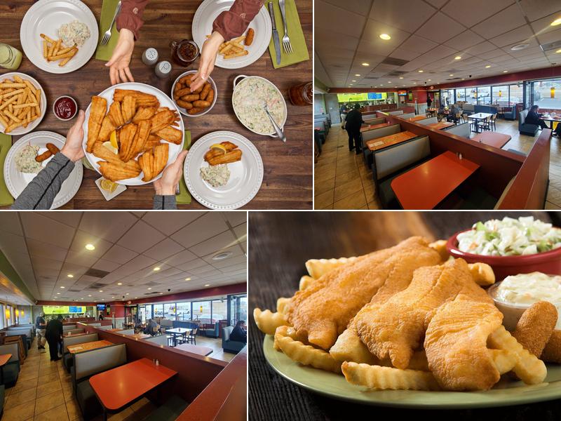 Showmars Freedom Dr.