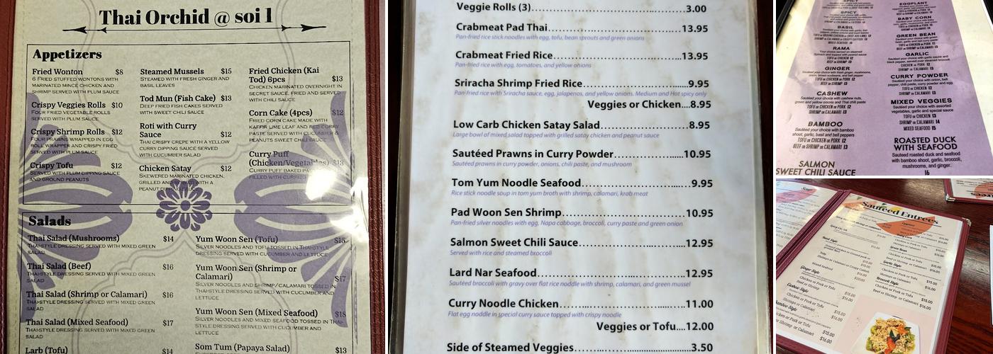 Thai Orchid @ Soi 1 Menu