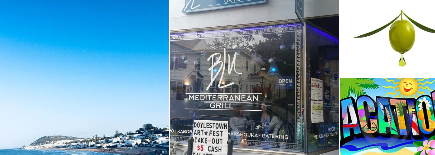 Blu Mediterranean Grill BYOB
