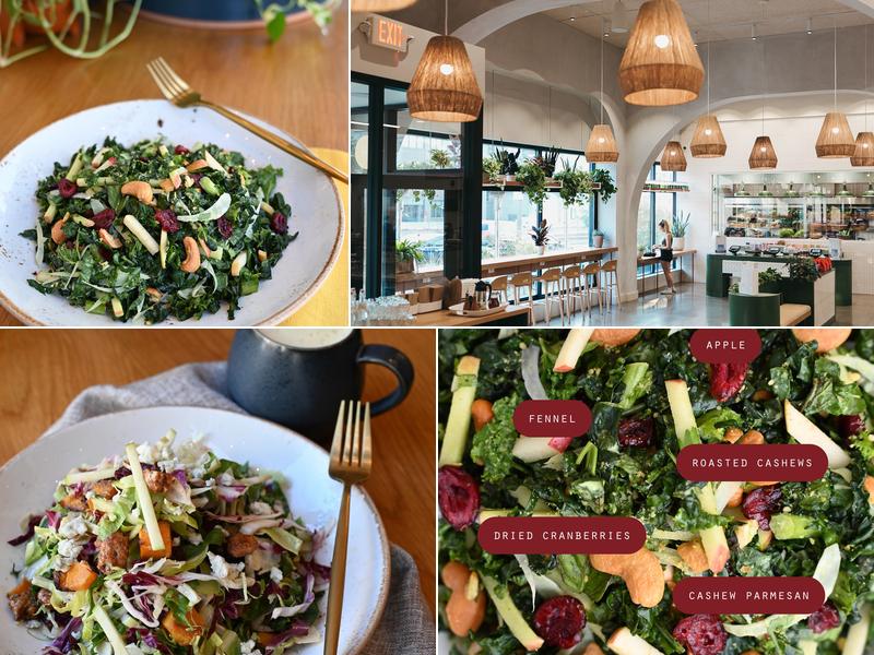 Life Alive Organic Cafe Brookline