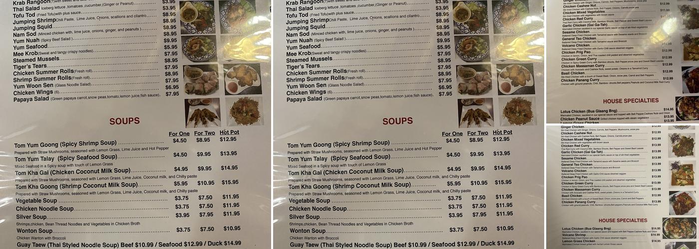 Orient Garden Menu