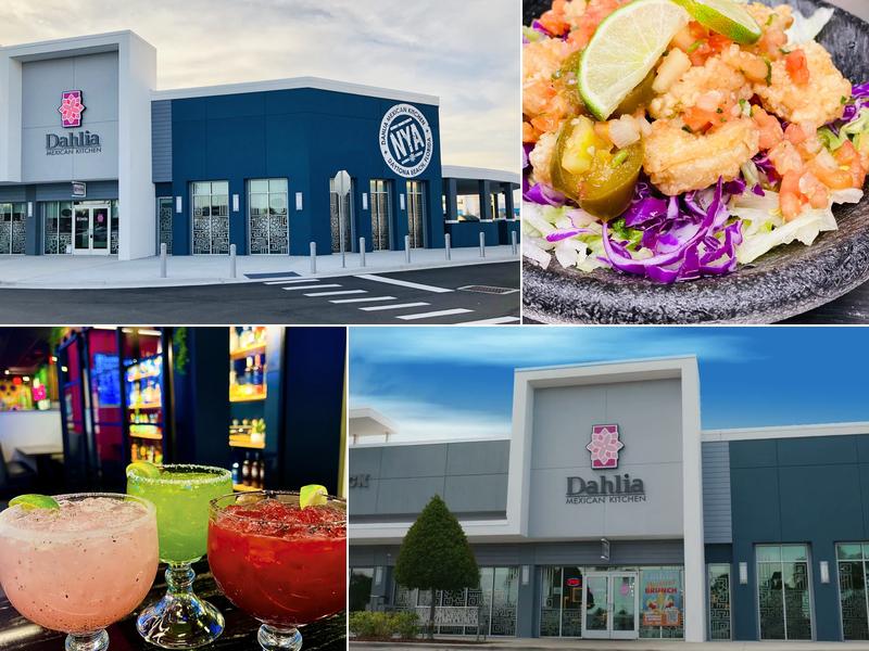 Dahlia Daytona Beach