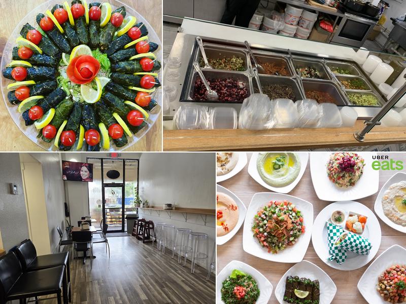 The Mediterranean Chickpea